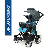 Инвалидная коляска для детей HOGGI BINGO Evolution